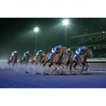 The Smart Bettor’s Checklist: What to Review Before Every Race Guide 2025 | HorsesBetting