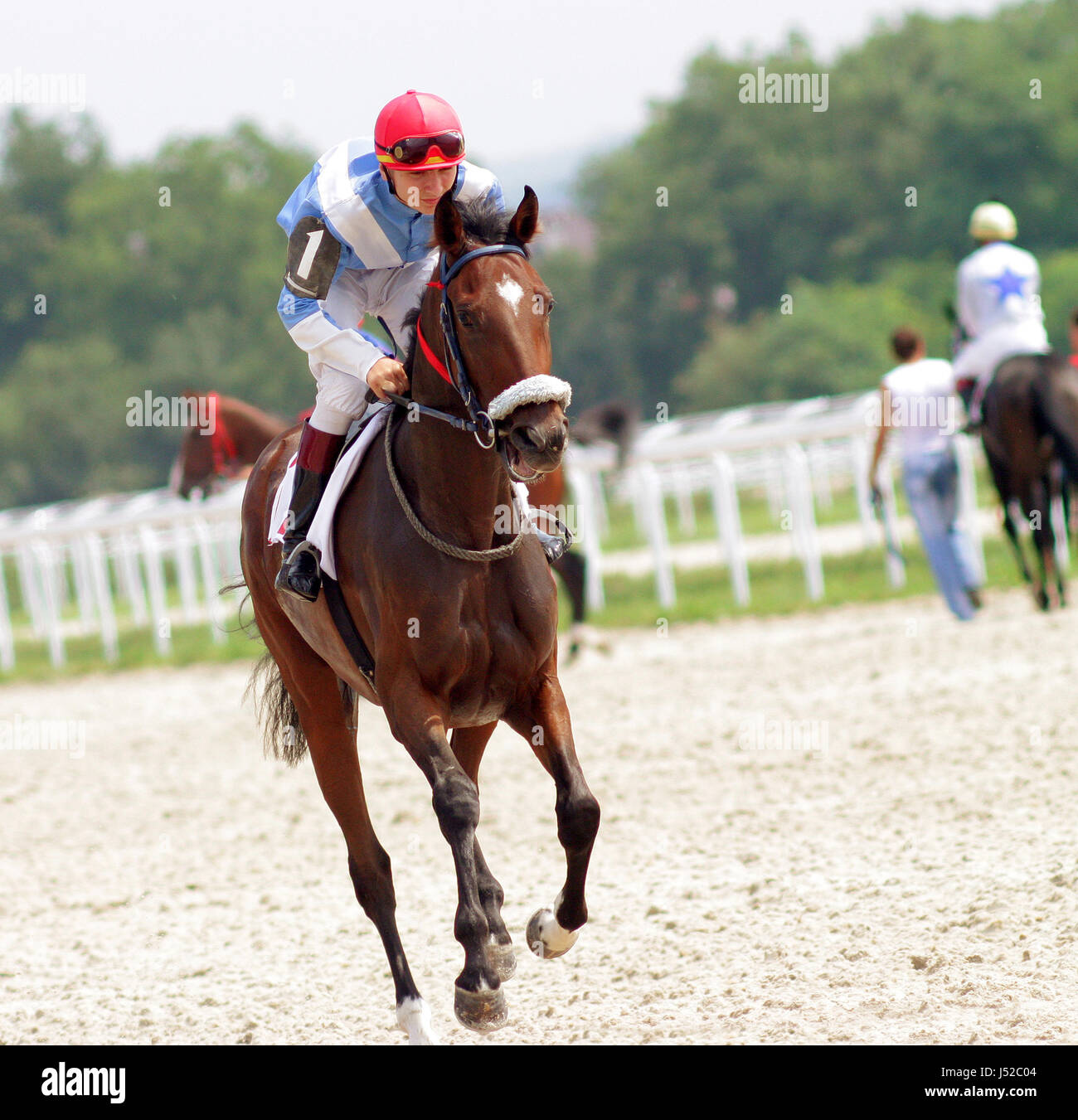 Horse Betting Guide - Jockey Form Analysis: Why Some Riders Deliver More Wins